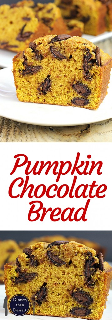 Pumpkin Chocolate Bread filled with delicious Milk Chocolate disks and a perfect breakfast or dessert! This recipe comes together in just a few minutes and doesn't need a mixer to make your house smell like Fall is here!