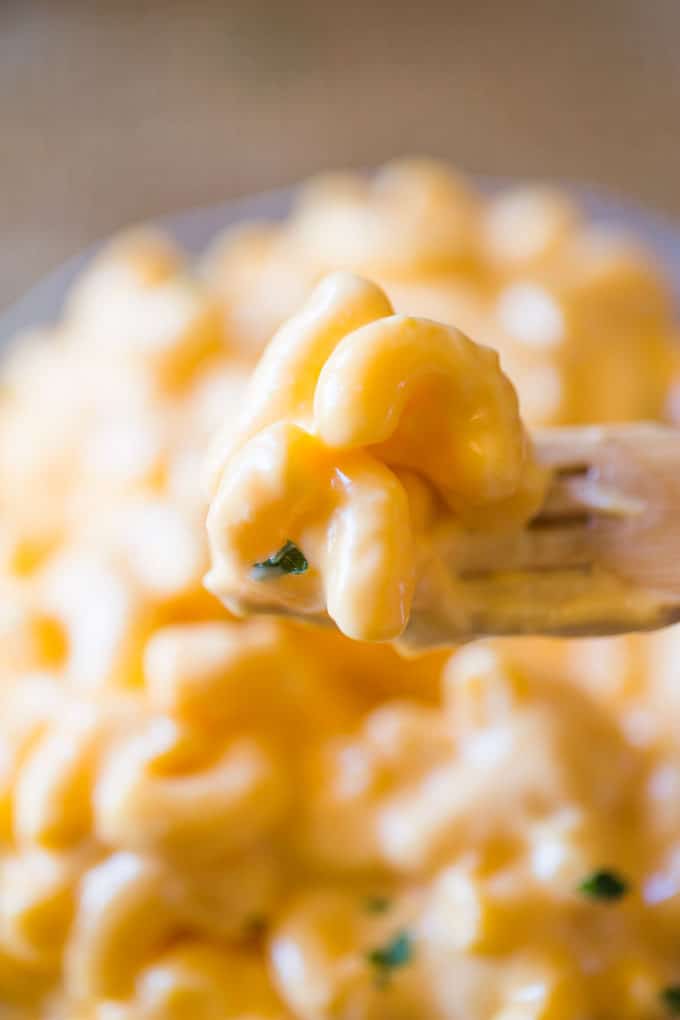 Super Creamy Macaroni and Cheese with no processed cheese in sight, this stovetop version is the perfect homemade creamy macaroni and cheese of your dreams and a perfect holiday side dish!