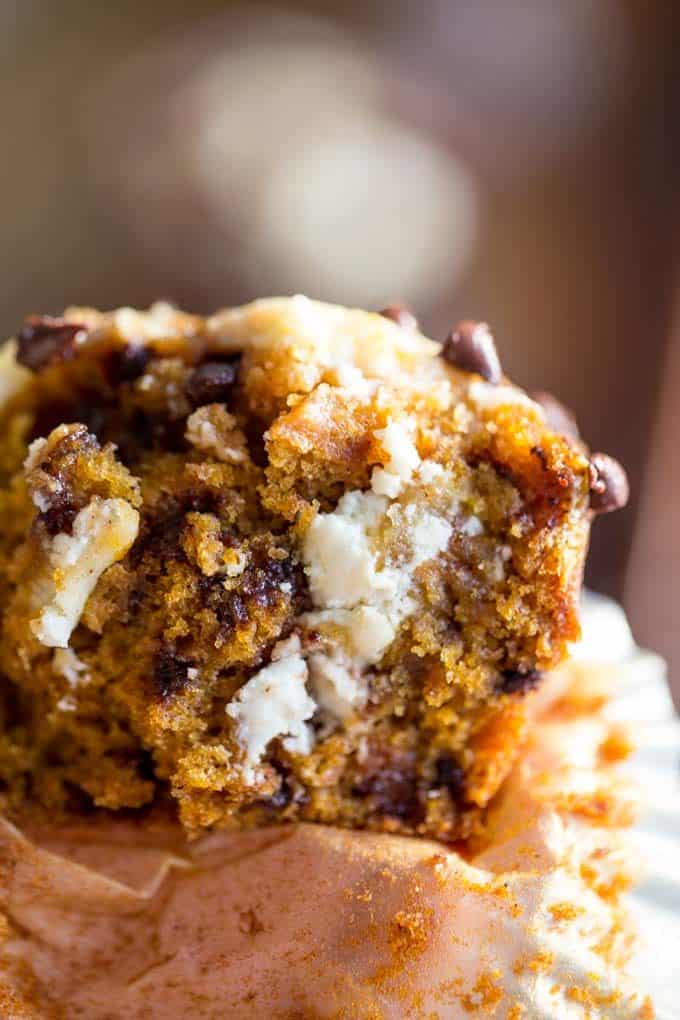 Chocolate Chip Pumpkin Cream Cheese Muffins are the perfect coffee shop or bakery style treat you'll love all year round, full of tangy, sweet and warm flavors.