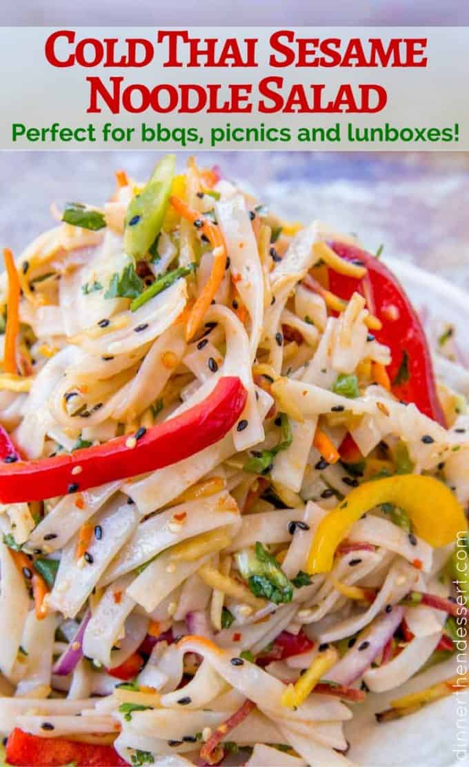 In just 20 minutes you can be enjoying this Cold Thai Noodle Salad! It's perfect for back to school!