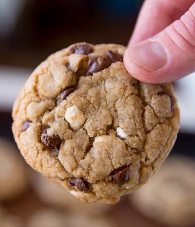 The perfect S'mores Cookies with chocolate, cereal marshmallows and graham cracker crumbs!