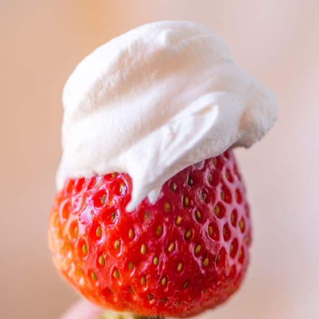 Homemade Cool Whip that is stable like the store bought kind but made at home and SO delicious. Perfect for any recipes you're making that ask for Cool Whip!