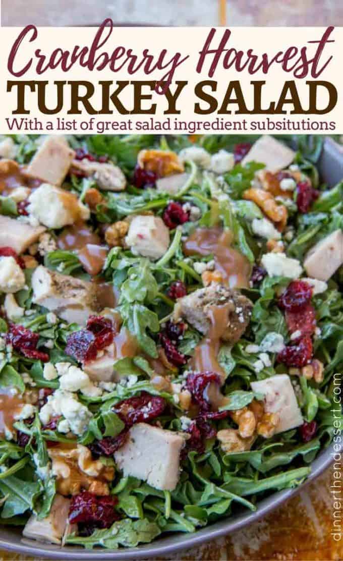 Cranberry Harvest Turkey Salad made with arugula, turkey breast, cranberries, gorgonzola, and walnuts with a delicious and easy balsamic vinaigrette.