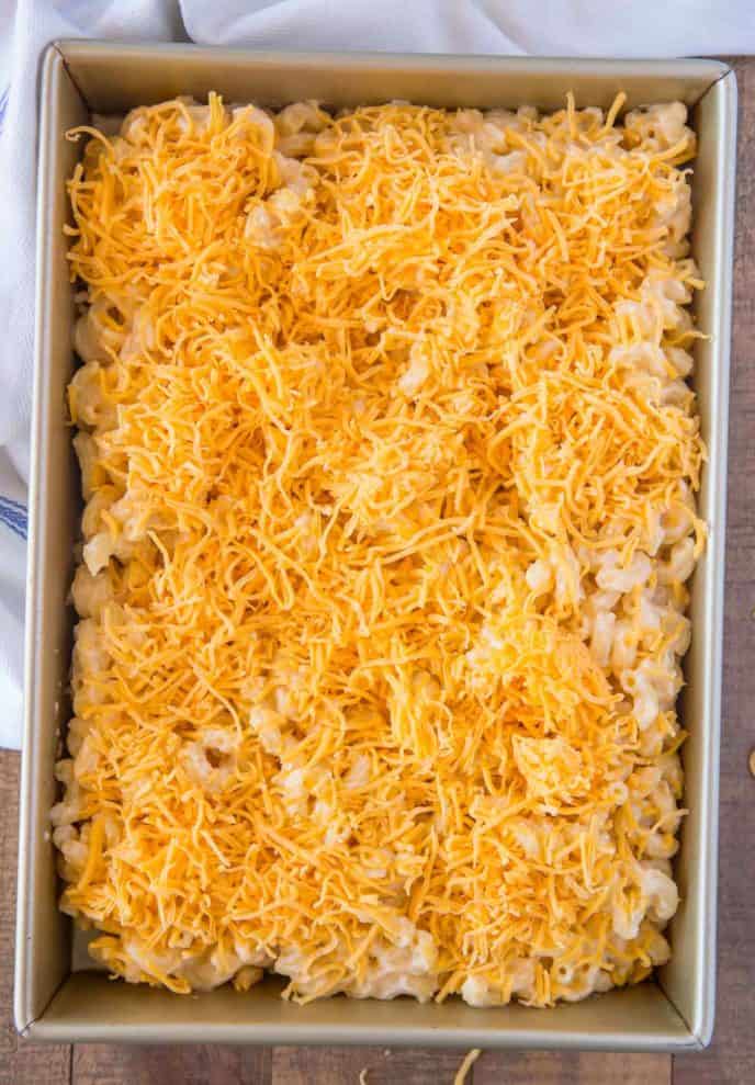 Baked Mac and Cheese in baking dish before baking