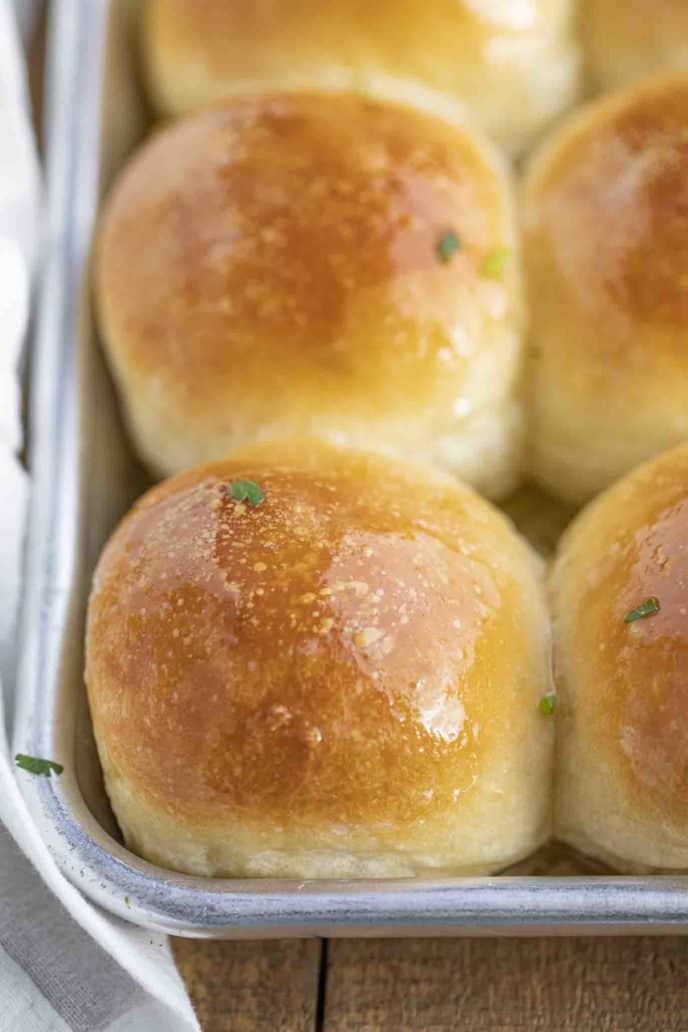 Homemade Dinner Rolls