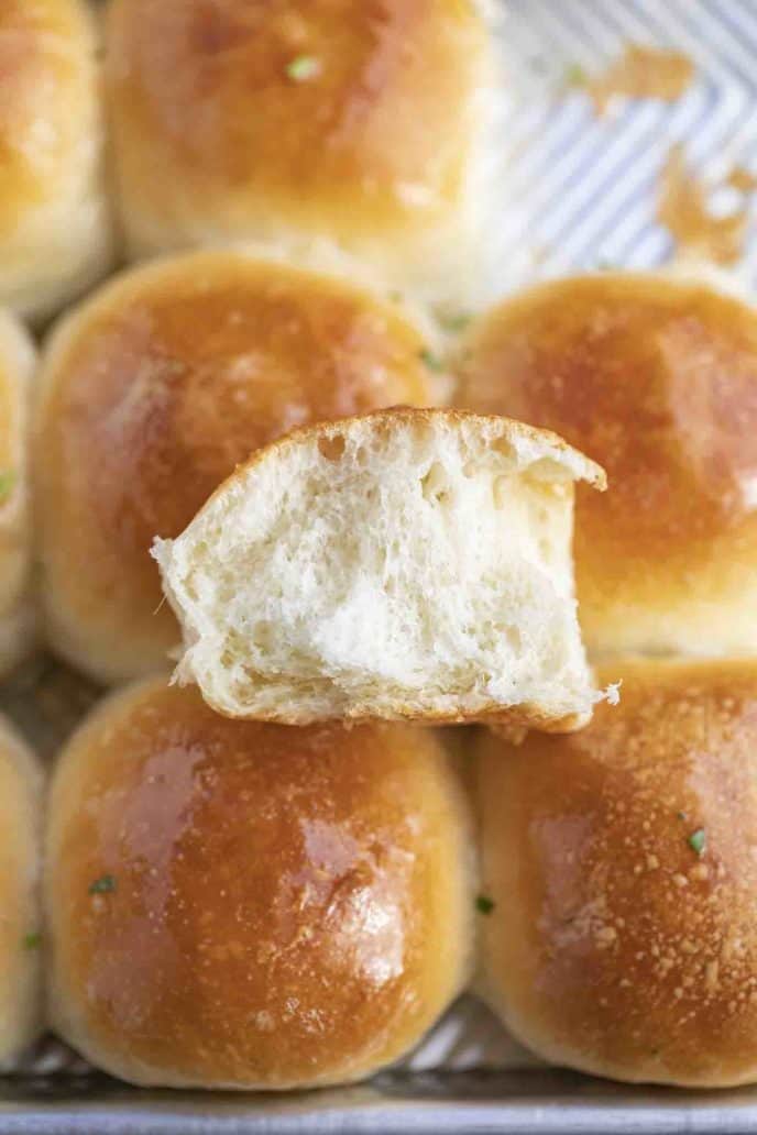 Dinner Rolls