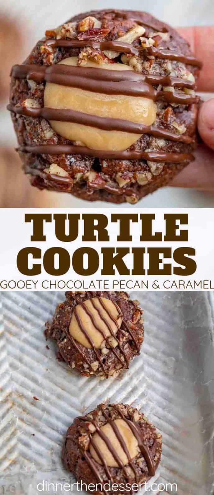Easy Turtle Cookies