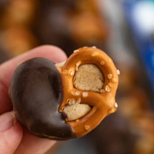 Semi Sweet Chocolate Covered Peanut Butter Mini Pretzels