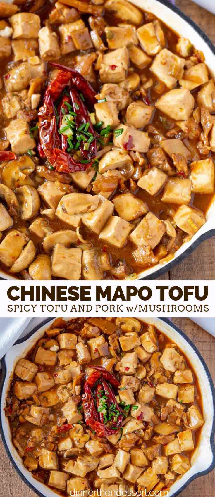Chinese Takeout Ma po Tofu with Pork