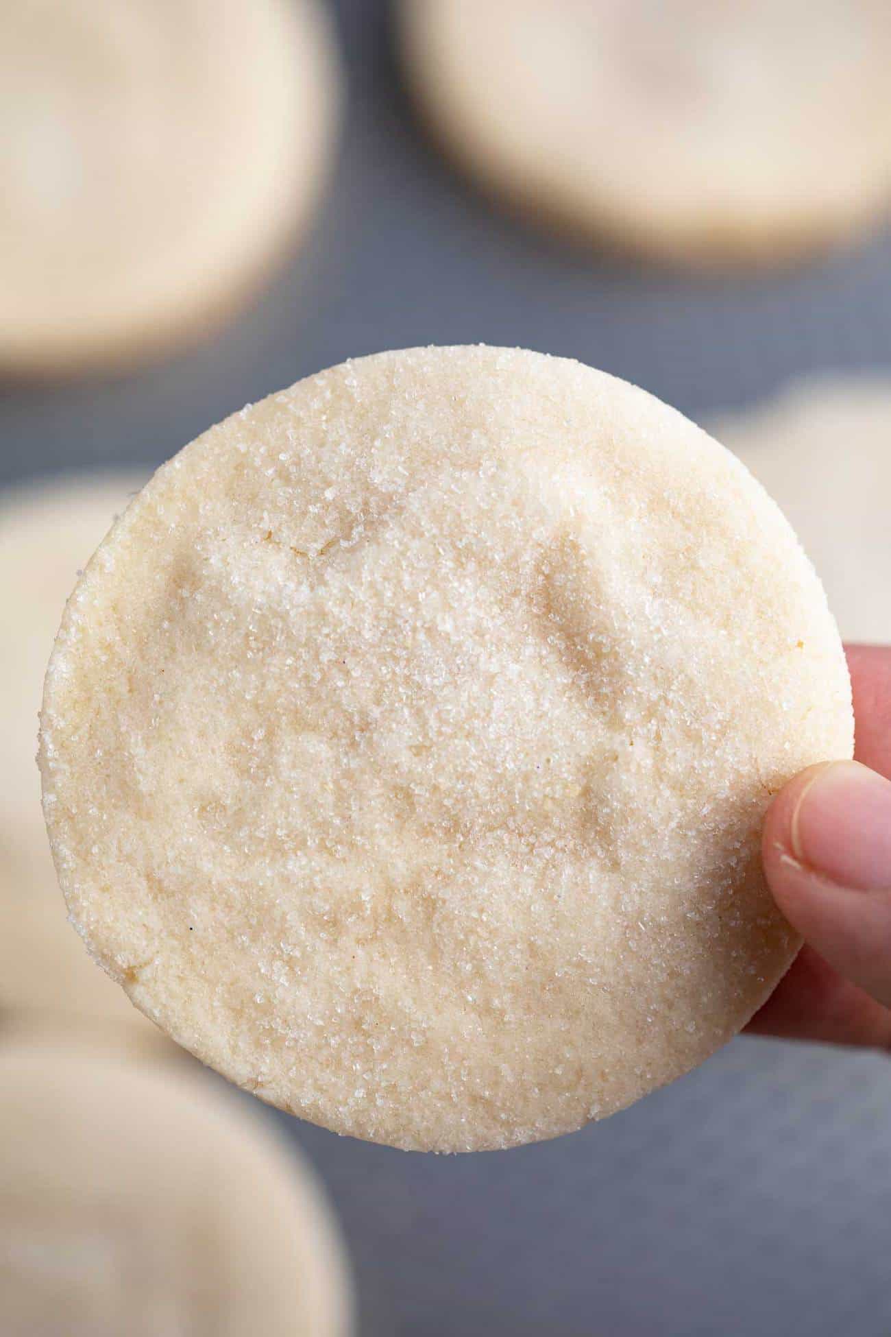 Sugar Cookies