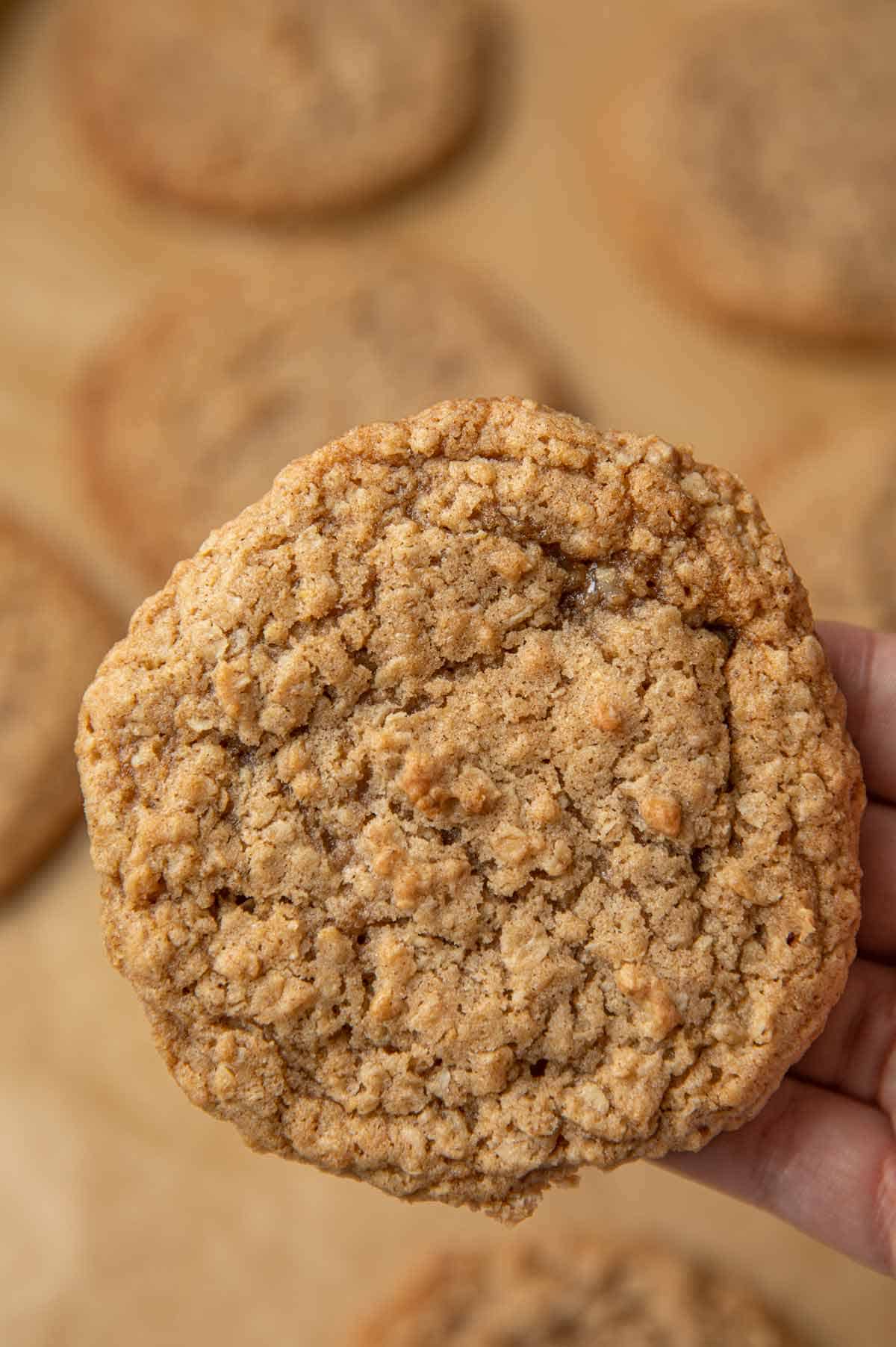 Oatmeal Cookies in hand