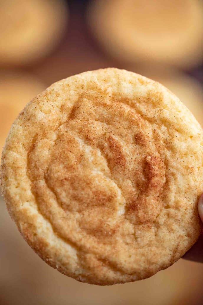 Single Snickerdoodle Cookie