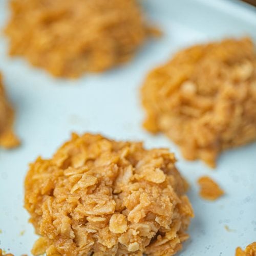 Peanut Butter No Bake Cookie